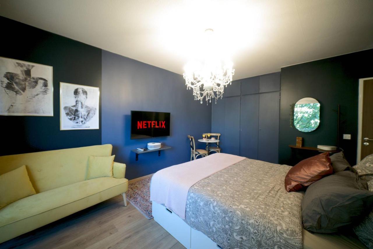 Le Boudoir, Centre Ville, Parking Couvert Inclus Mulhouse Eksteriør billede